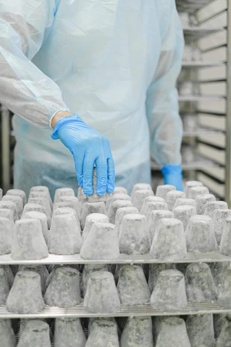cleanroom manufacturing staffing
